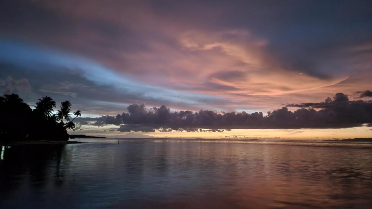 Terimakasih Homestay Pulau Mansuar 外观 照片